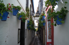 Cordoba Callejon de las Flores