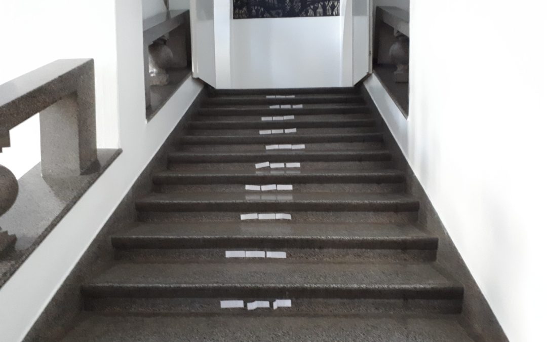 Svetovni dan matematike